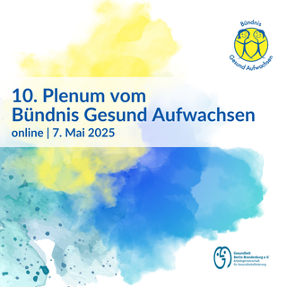 10. BGA-Plenum