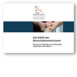 Titel der Publikation "Die Arbeit der Besuchskommissionen – Patientenrechrechte respektieren und stärken"